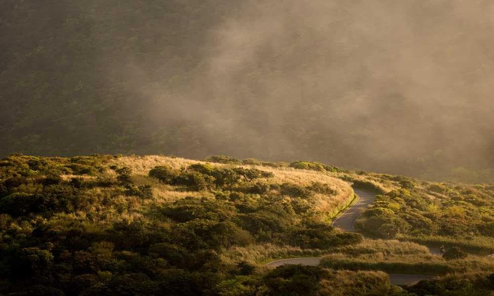 Chronic Pain Liberation